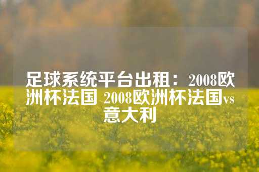 足球系统平台出租：2008欧洲杯法国 2008欧洲杯法国vs意大利-第1张图片-皇冠信用盘出租