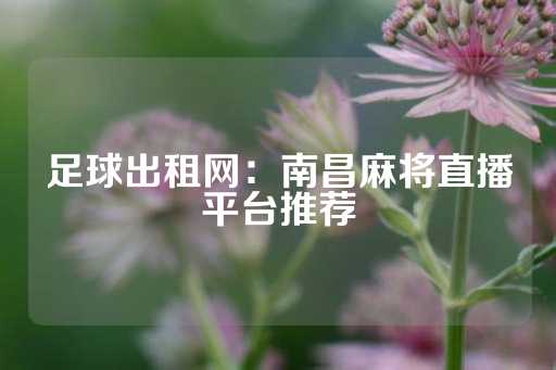 足球出租网：南昌麻将直播平台推荐