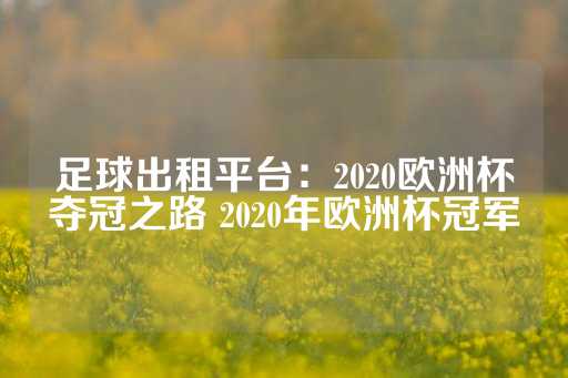 足球出租平台：2020欧洲杯夺冠之路 2020年欧洲杯冠军-第1张图片-皇冠信用盘出租