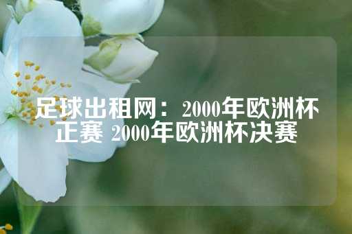 足球出租网：2000年欧洲杯正赛 2000年欧洲杯决赛