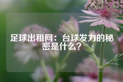 足球出租网：台球发力的秘密是什么？