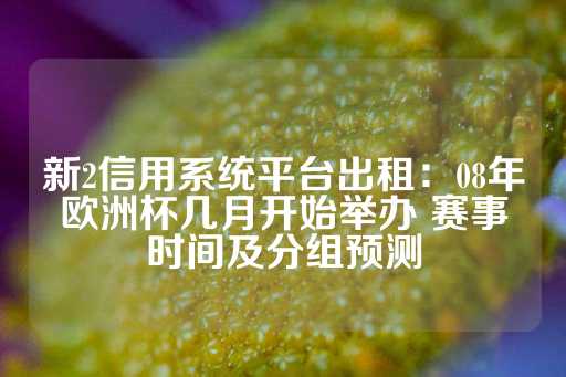 新2信用系统平台出租：08年欧洲杯几月开始举办 赛事时间及分组预测