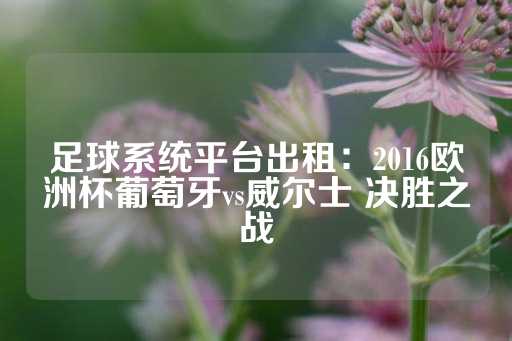 足球系统平台出租：2016欧洲杯葡萄牙vs威尔士 决胜之战