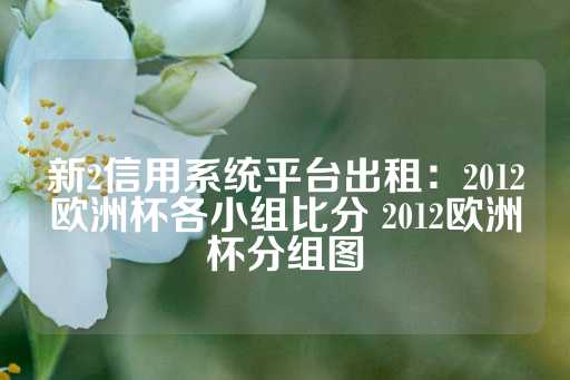 新2信用系统平台出租：2012欧洲杯各小组比分 2012欧洲杯分组图