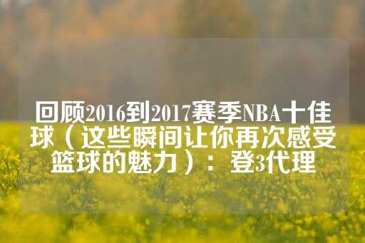 回顾2016到2017赛季NBA十佳球（这些瞬间让你再次感受篮球的魅力）：登3代理-第1张图片-皇冠信用盘出租