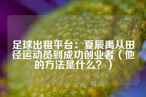 足球出租平台：夏辰禹从田径运动员到成功创业者（他的方法是什么？）-第1张图片-皇冠信用盘出租