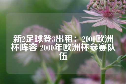 新2足球登3出租：2000欧洲杯阵容 2000年欧洲杯参赛队伍-第1张图片-皇冠信用盘出租