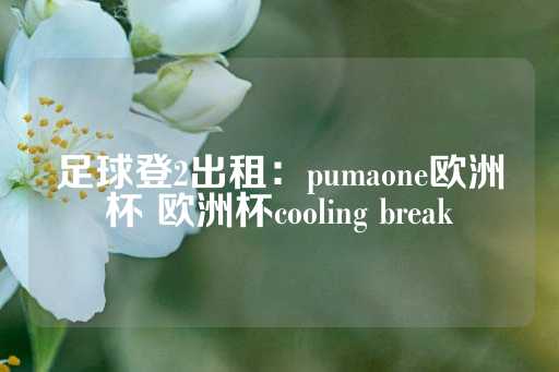 足球登2出租：pumaone欧洲杯 欧洲杯cooling break