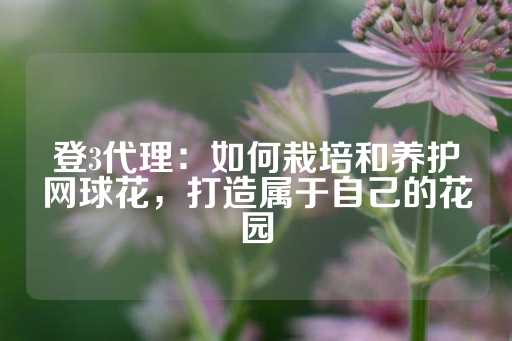 登3代理：如何栽培和养护网球花，打造属于自己的花园-第1张图片-皇冠信用盘出租