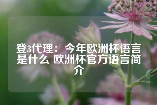 登3代理：今年欧洲杯语言是什么 欧洲杯官方语言简介-第1张图片-皇冠信用盘出租