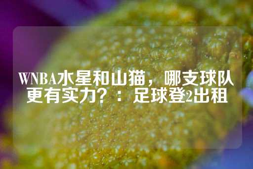 WNBA水星和山猫，哪支球队更有实力？：足球登2出租-第1张图片-皇冠信用盘出租