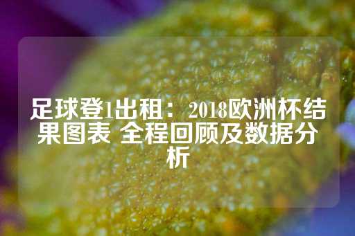 足球登1出租：2018欧洲杯结果图表 全程回顾及数据分析