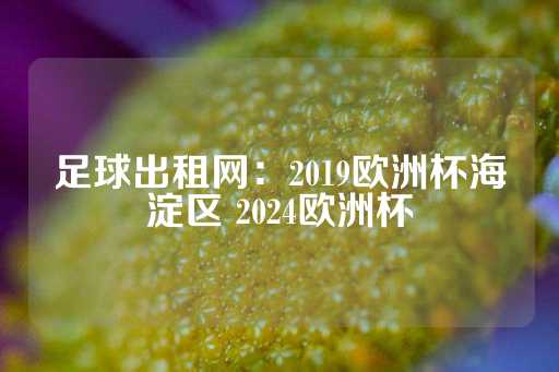 足球出租网：2019欧洲杯海淀区 2024欧洲杯-第1张图片-皇冠信用盘出租