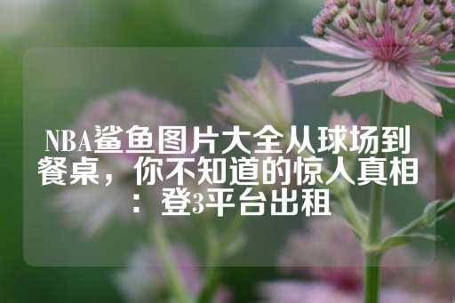 NBA鲨鱼图片大全从球场到餐桌，你不知道的惊人真相：登3平台出租-第1张图片-皇冠信用盘出租