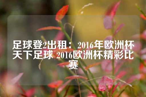 足球登2出租：2016年欧洲杯天下足球 2016欧洲杯精彩比赛