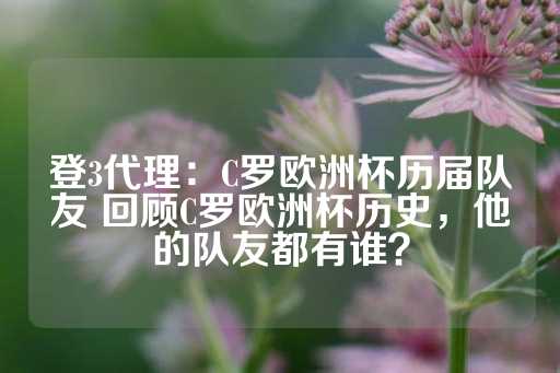 登3代理：C罗欧洲杯历届队友 回顾C罗欧洲杯历史，他的队友都有谁？