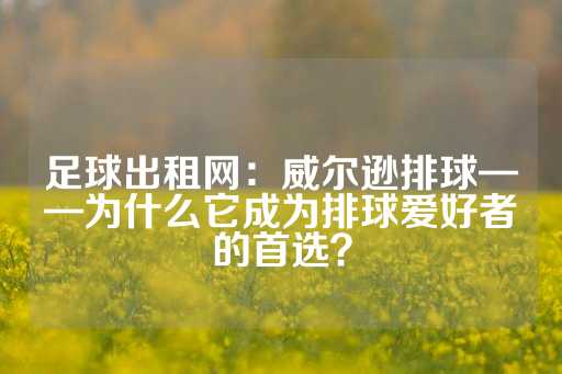 足球出租网：威尔逊排球——为什么它成为排球爱好者的首选？