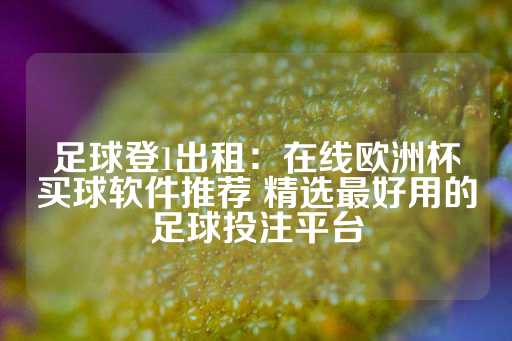 足球登1出租：在线欧洲杯买球软件推荐 精选最好用的足球投注平台