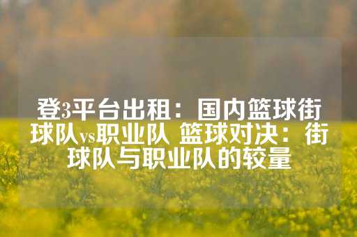 登3平台出租：国内篮球街球队vs职业队 篮球对决：街球队与职业队的较量