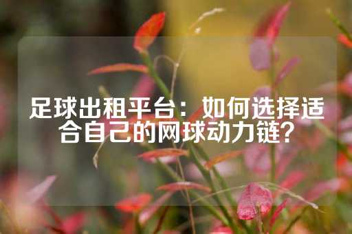 足球出租平台：如何选择适合自己的网球动力链？