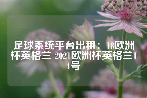 足球系统平台出租：18欧洲杯英格兰 2021欧洲杯英格兰14号-第1张图片-皇冠信用盘出租