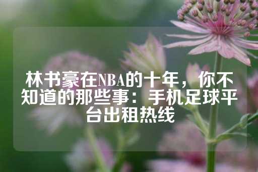 林书豪在NBA的十年，你不知道的那些事：手机足球平台出租热线