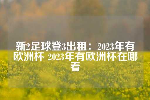 新2足球登3出租：2023年有欧洲杯 2023年有欧洲杯在哪看