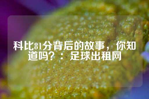 科比81分背后的故事，你知道吗？：足球出租网