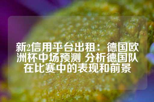 新2信用平台出租：德国欧洲杯中场预测 分析德国队在比赛中的表现和前景-第1张图片-皇冠信用盘出租