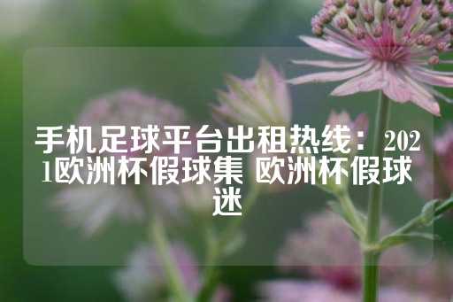 手机足球平台出租热线：2021欧洲杯假球集 欧洲杯假球迷