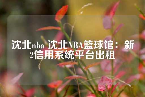 沈北nba 沈北NBA篮球馆：新2信用系统平台出租