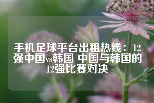 手机足球平台出租热线：12强中国vs韩国 中国与韩国的12强比赛对决