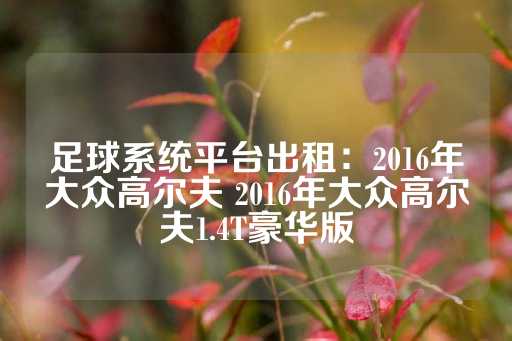 足球系统平台出租：2016年大众高尔夫 2016年大众高尔夫1.4T豪华版-第1张图片-皇冠信用盘出租