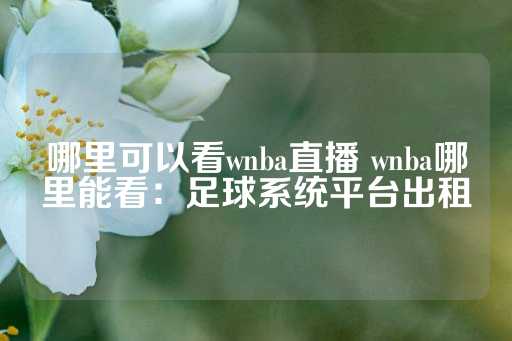 哪里可以看wnba直播 wnba哪里能看：足球系统平台出租