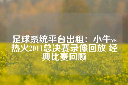 足球系统平台出租：小牛vs热火2011总决赛录像回放 经典比赛回顾-第1张图片-皇冠信用盘出租