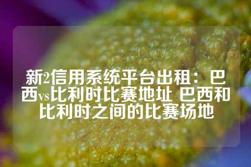 新2信用系统平台出租：巴西vs比利时比赛地址 巴西和比利时之间的比赛场地-第1张图片-皇冠信用盘出租