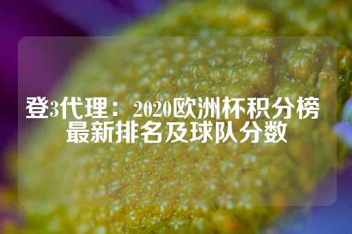 登3代理：2020欧洲杯积分榜 最新排名及球队分数