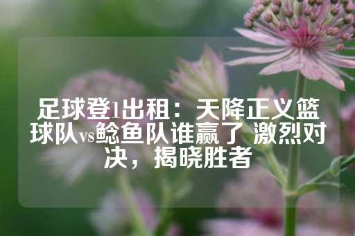 足球登1出租：天降正义篮球队vs鲶鱼队谁赢了 激烈对决，揭晓胜者