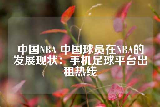 中国NBA 中国球员在NBA的发展现状：手机足球平台出租热线