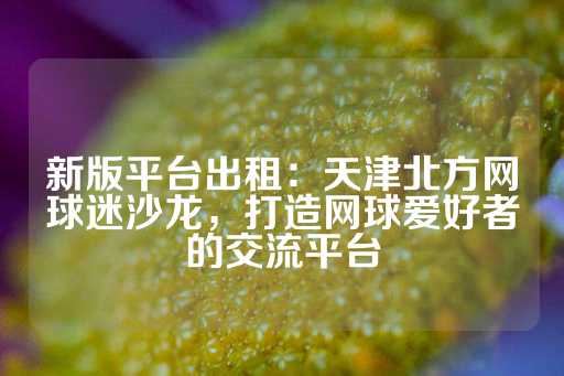 新版平台出租：天津北方网球迷沙龙，打造网球爱好者的交流平台