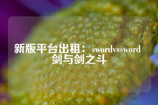 新版平台出租：swordvssword 剑与剑之斗