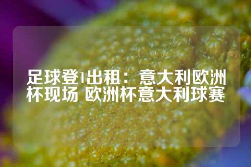 足球登1出租：意大利欧洲杯现场 欧洲杯意大利球赛