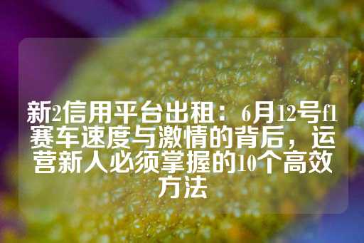 新2信用平台出租：6月12号f1赛车速度与激情的背后，运营新人必须掌握的10个高效方法