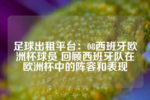 足球出租平台：08西班牙欧洲杯球员 回顾西班牙队在欧洲杯中的阵容和表现-第1张图片-皇冠信用盘出租