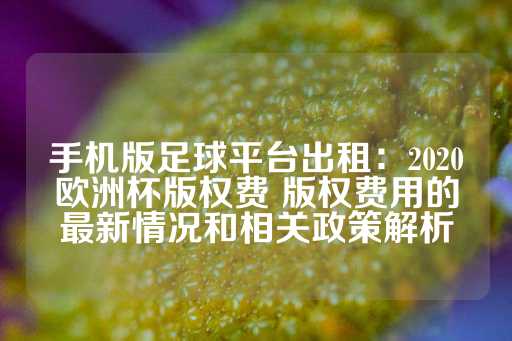 手机版足球平台出租：2020欧洲杯版权费 版权费用的最新情况和相关政策解析