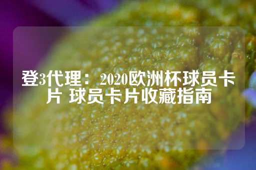 登3代理：2020欧洲杯球员卡片 球员卡片收藏指南