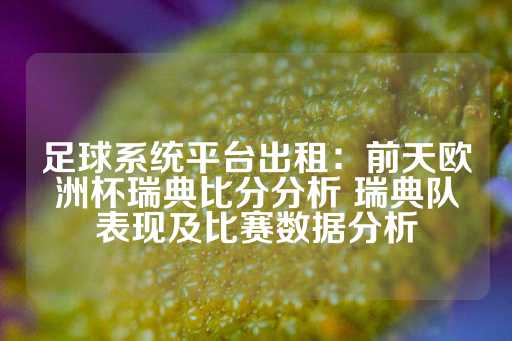 足球系统平台出租：前天欧洲杯瑞典比分分析 瑞典队表现及比赛数据分析