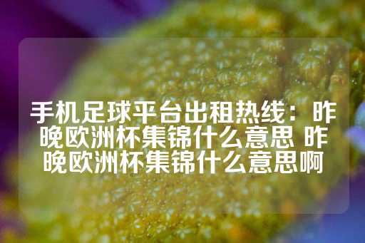 手机足球平台出租热线：昨晚欧洲杯集锦什么意思 昨晚欧洲杯集锦什么意思啊