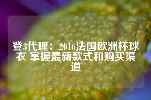 登3代理：2016法国欧洲杯球衣 掌握最新款式和购买渠道-第1张图片-皇冠信用盘出租