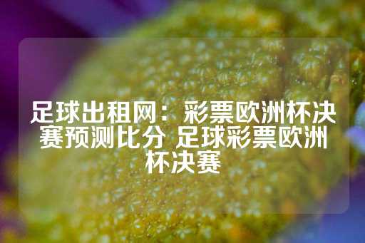 足球出租网：彩票欧洲杯决赛预测比分 足球彩票欧洲杯决赛-第1张图片-皇冠信用盘出租